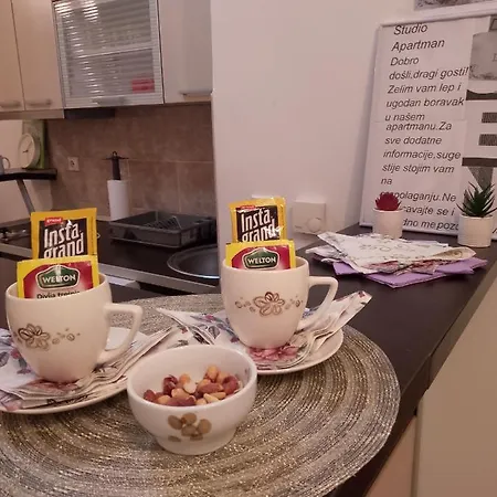 Studio Apartman ,dilajl' Belgrade